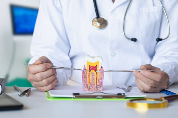 Best Emergency Wisdom Tooth Extraction in Johnson City, TN